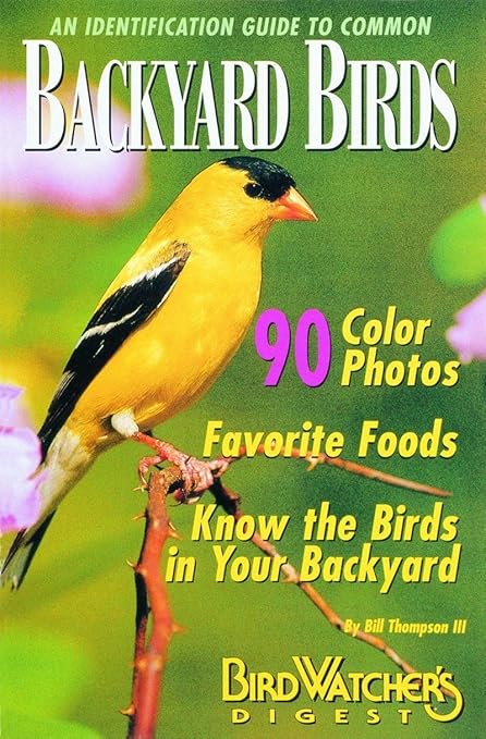 Amazon Com An Identification Guide To Common Backyard Birds A