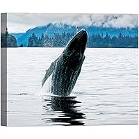 SIGNWIN Canvas Wall Art A Humpback Whale Standing in The Lake Marine Life Wildlife Photography Realism Nautical Closeup Relax/Calm for Living Room, Bedroom, Office - 12x18 inches