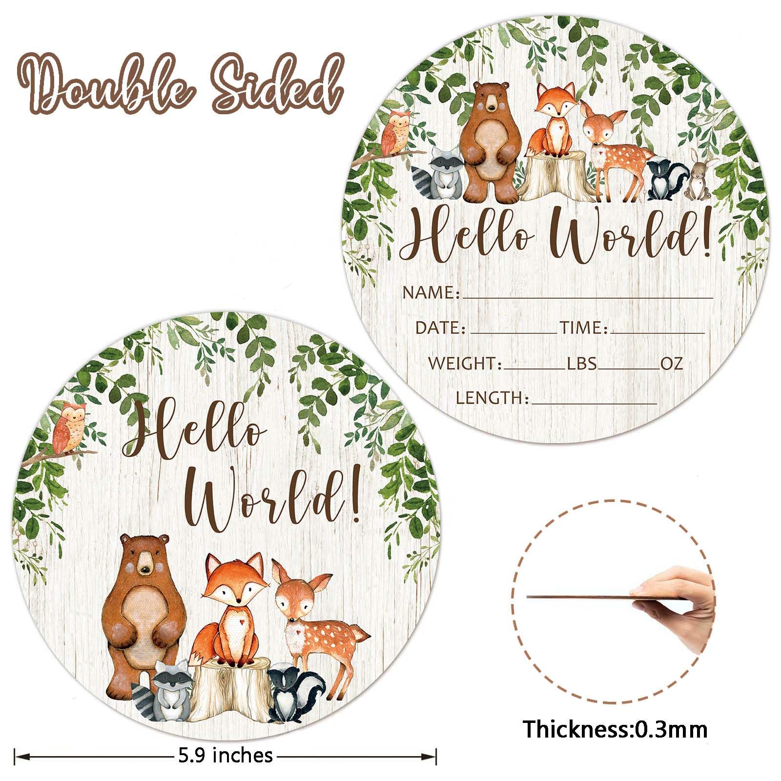 Birth Stat Sign for Newborn, Woodland Animals Baby Announcement, Forest Hello World Name Sign for Hospital Birth Announcement, Gift for New Mom, Baby Shower, Pregnancy Announcement, Photography Prop