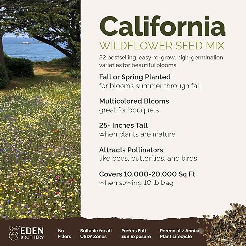 rose bush from seed 30 Rare Seeds
