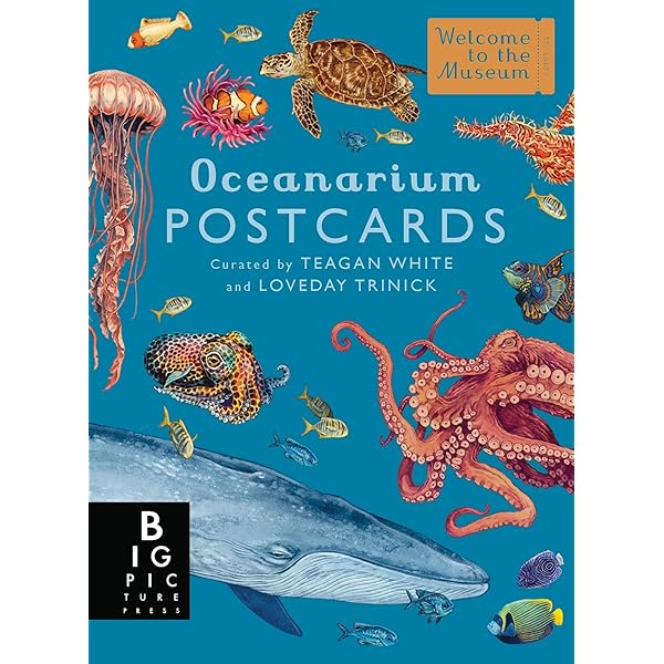 Botanicum (Mini Gift Edition) (Welcome To The Museum): Katie Scott