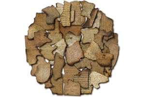 PRSTINCOL 80 pcs Junk Journal Stickers, Scrapbooking Stickers Burnt Paper Stickers for Journaling Bullet Journal Collage Album, Journal Stickers Junk Journal Kit for Kids Teens Adults