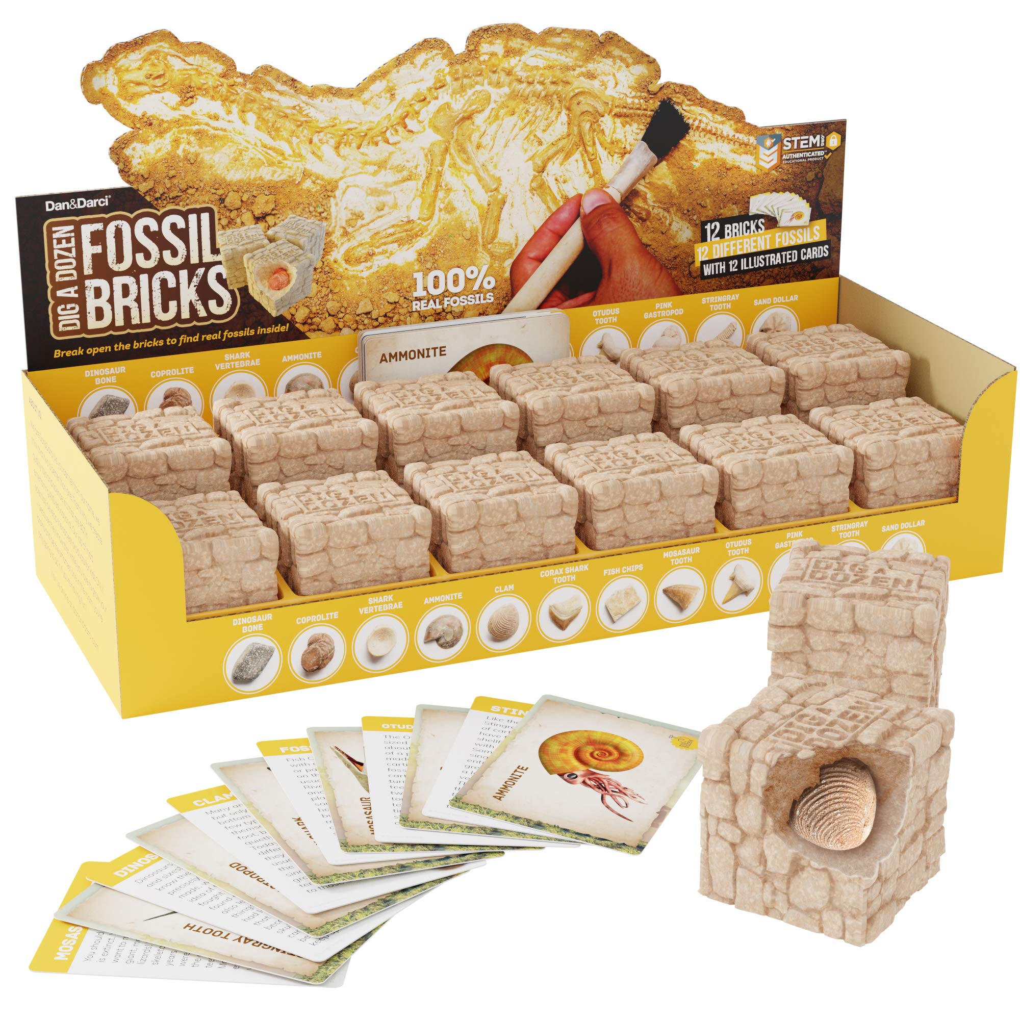 Dan&Darci Dig a Dozen Fossil Bricks - Break Open 12 Blocks and Discover 12 Unique Real Fossils - Basket Stuffers Archaeology Science STEM - Birthday Gift