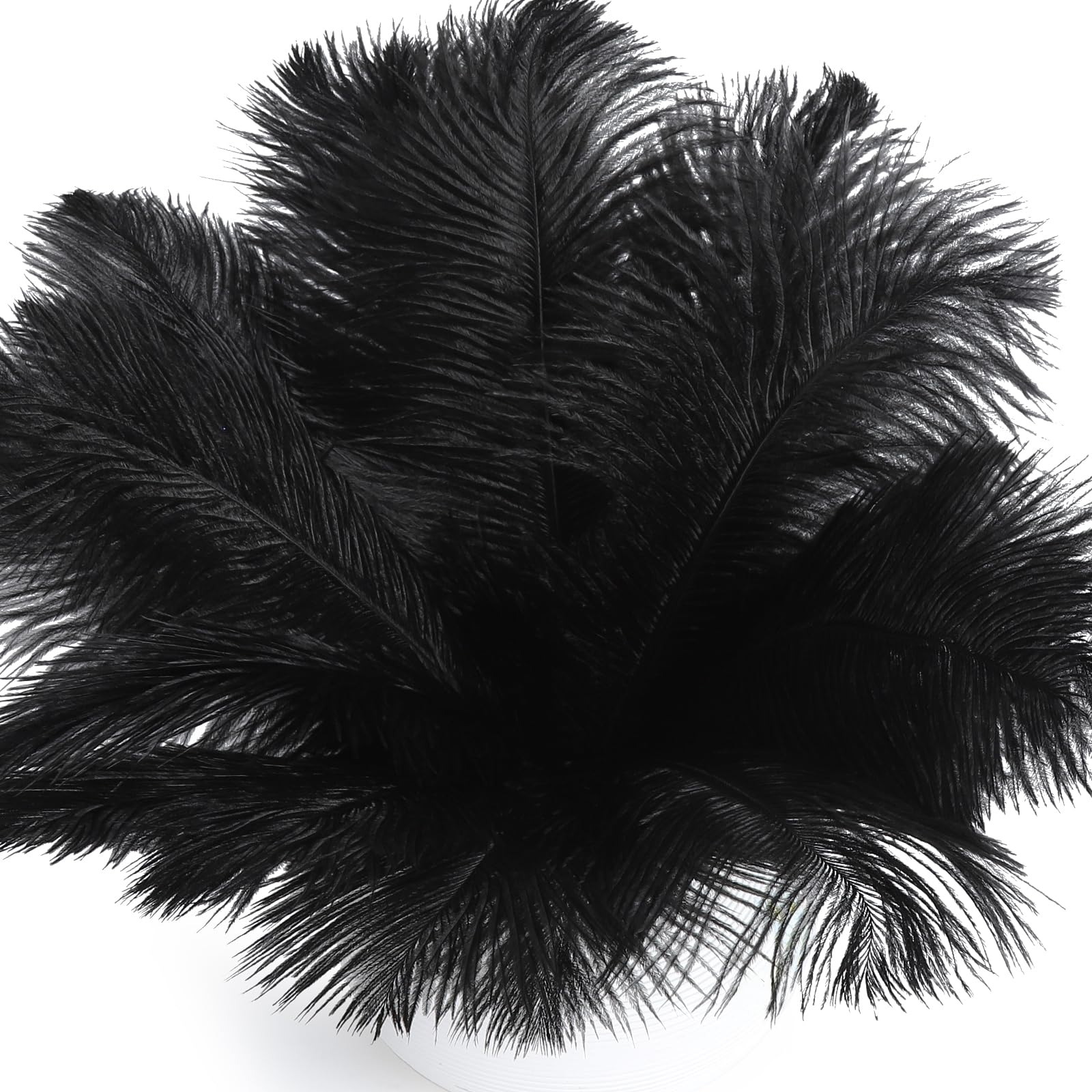 Photo 1 of ***MISSING 8***FANDAMEI 20 Pcs Black Ostrich Feathers, Black Feathers, 8-10 inch (20-25cm), Feathers for Crafting, Craft Feathers for Centerpiece Table Decorations, Home Decorations, Black Party Decorations