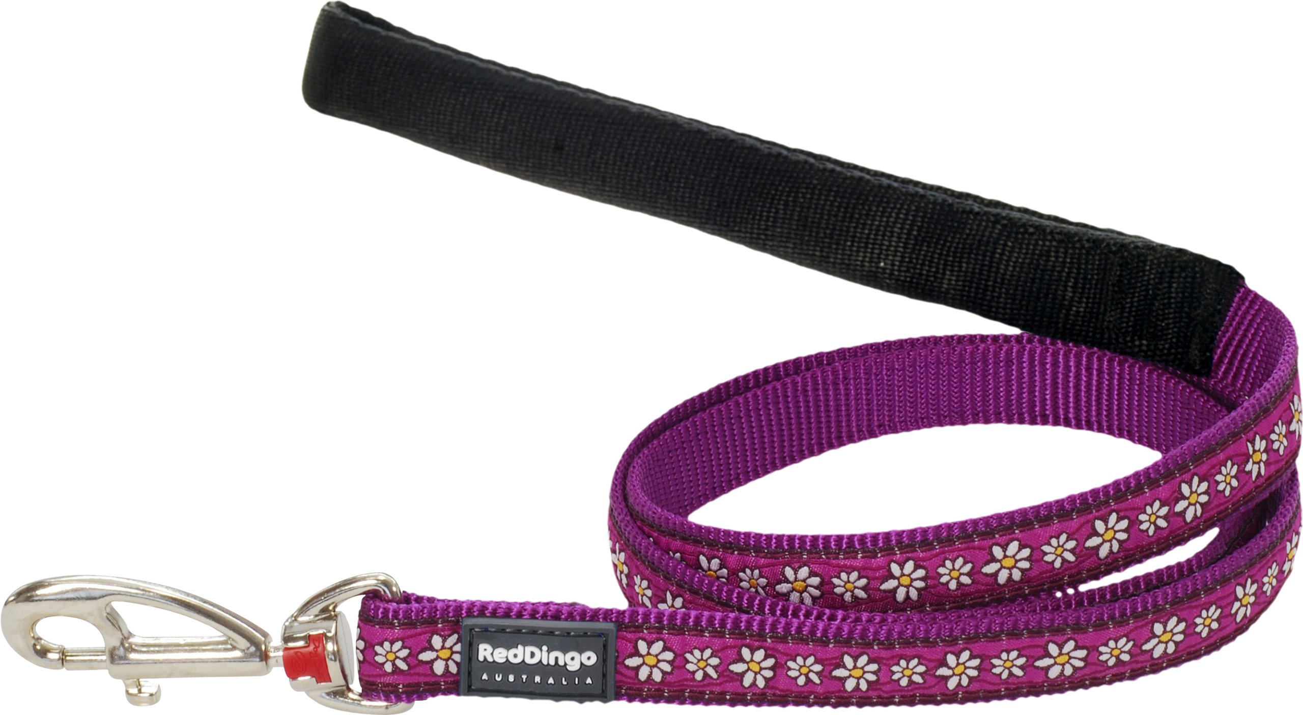 Red Dingo Daisy Chain Purple Dog Lead, Small