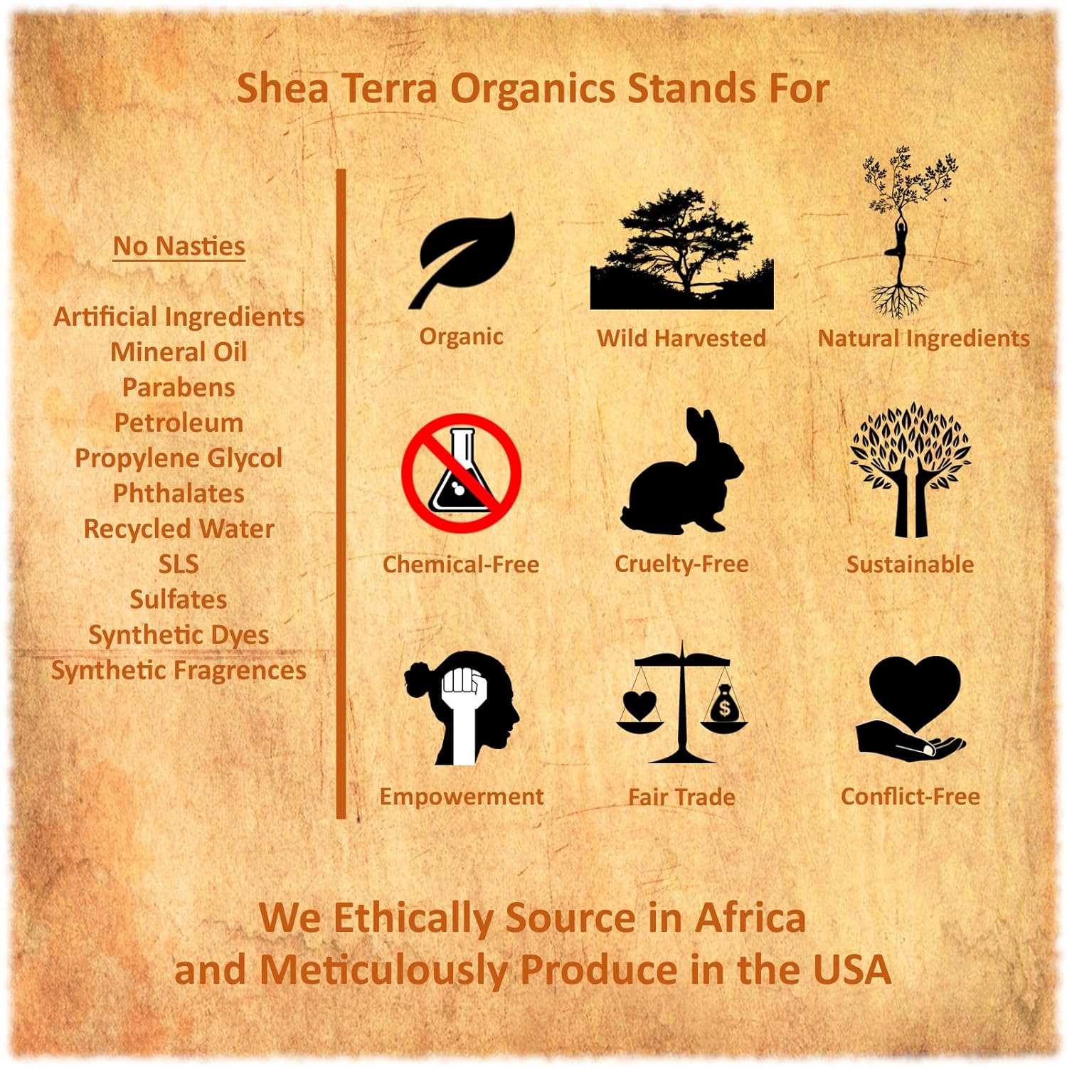 Shea Terra Organics Beauty Water, Toner & Face Mist – Damask Rose Hips & Hazel | Natural Daily Hydrating Toner with Anti-Aging Rose & Witch Hazel to Soothe & Cleanse Inflamed Skin & Fight Acne – 4 oz : Body Scrubs : Beauty