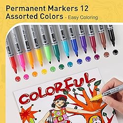 12 Permanent Markers - Assorted Colors Drawing