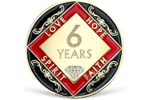 LREQASOR 6 Year NA Medallion Six Year Recovery Chip for NA AA 12 Step Narcotics Anonymous Coin Anniversary Token Clean and Sober Gifts for Men Women Celebrating Sobriety and Addiction Recovery