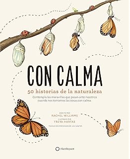 CAJA MÁGICA DE LA CALMA: Amazon.es: Deportes y aire libre