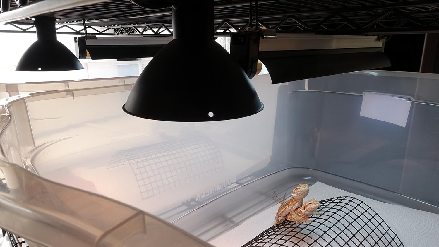 Carolina Custom Cages Reptile 12" T5HO UVB Standard Light Fixture