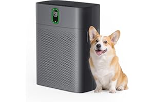 Pureborne Air Purifiers for Home Large Room Bedroom up to 1076 Sq Ft, HEPA Filter with PM 2.5 Display & Dual Air Intake, 24dB