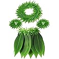 Skylety Hawaiian Leaf Hula Skirt and Leis Set Include Tropical Headband Fern Leaf Wristlet Green Grass Hula Skirt for Hawaiian Costume Halloween Luau Party Supplies for Adult Women