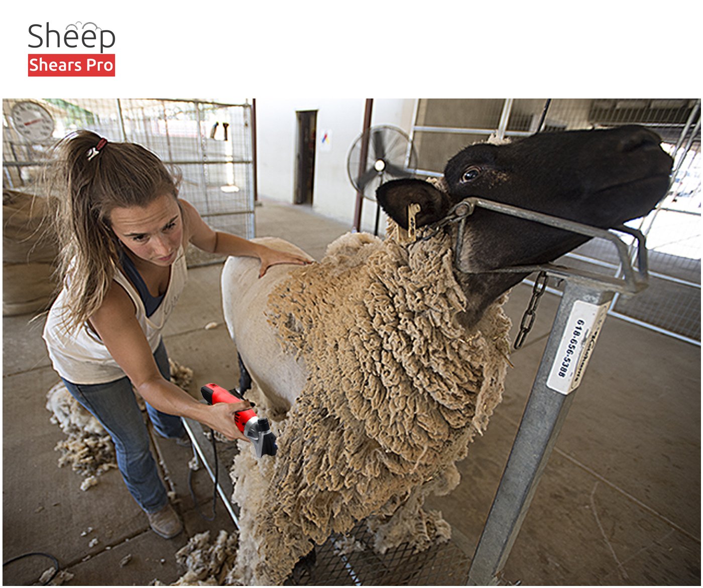 Sheep Shears Pro 110V 500W Professional Heavy Duty Electric Shearing