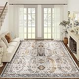 Madane 5x7 Area Rugs for Living Room, Stain