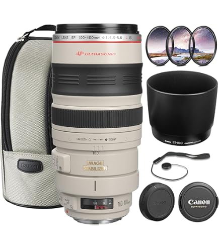 Amazon.com : Canon EF 100-400mm f/4.5-5.6L IS USM Telephoto Zoom