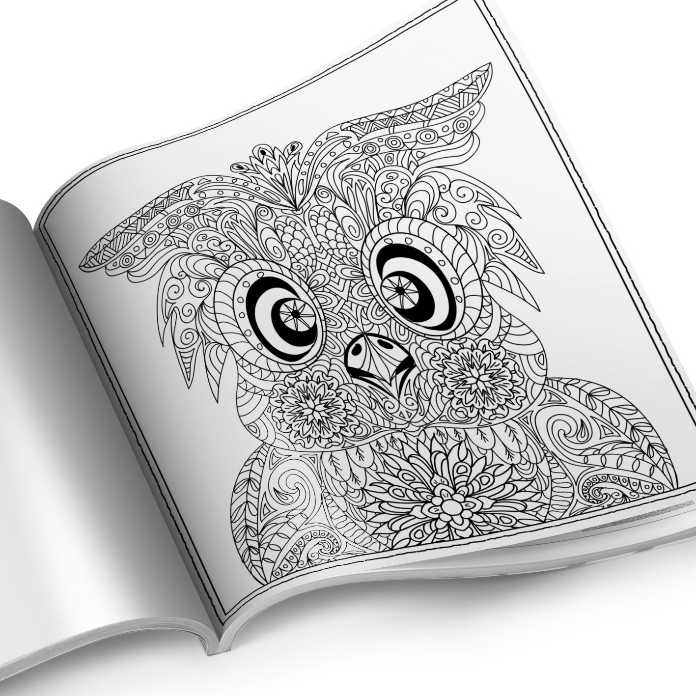 3 In 1 Malbuch Fur Erwachsene 120 Motive Meereswelt Eulen Tierwelt Bei Nacht Amazon De Malbucher Kleestern Erwachsene Ausmalbucher Fur Bucher