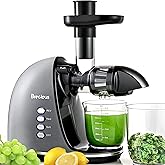 Slow Masticating Juicer,Brecious Cold Press Juicers with 2 Speed Modes & Quiet Motor,Juicers Machines Vegetable and Fruit with Reverse Function,Celery Juicer,BPA-Free,Easy to Clean (Silver)