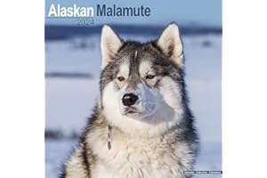 Alaskan Malamute Calendar - Dog Breed Calendars - 2023 - 2024 wall calendars - 16 Month by Avonside