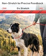 TagME Slip Lead for Dogs 1.8m Reflective Pad-Handle Training Leash Pink view 8