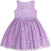 DaniChins Girls Sleeveless Tutu Dress Layered Tulle Sparkle Dress for Girls