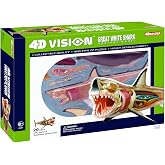 4D Vision Great White Shark Anatomy Model | 4D Vision Great White Shark Anatomy Model Kit, STEM Science Learning Toy, Build a Shark Model, Ages 8+