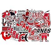 25 PCS Carolina American Hurricanes Hockey Stickers for Water Bottle, Laptop, Bicycle, Computer, Motorcycle, Travel Case, Car Decal Decoration Stickers