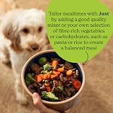 Forthglade Lamb Grain Free Wet Dog Food 18 x 395g Trays Complementary view 3