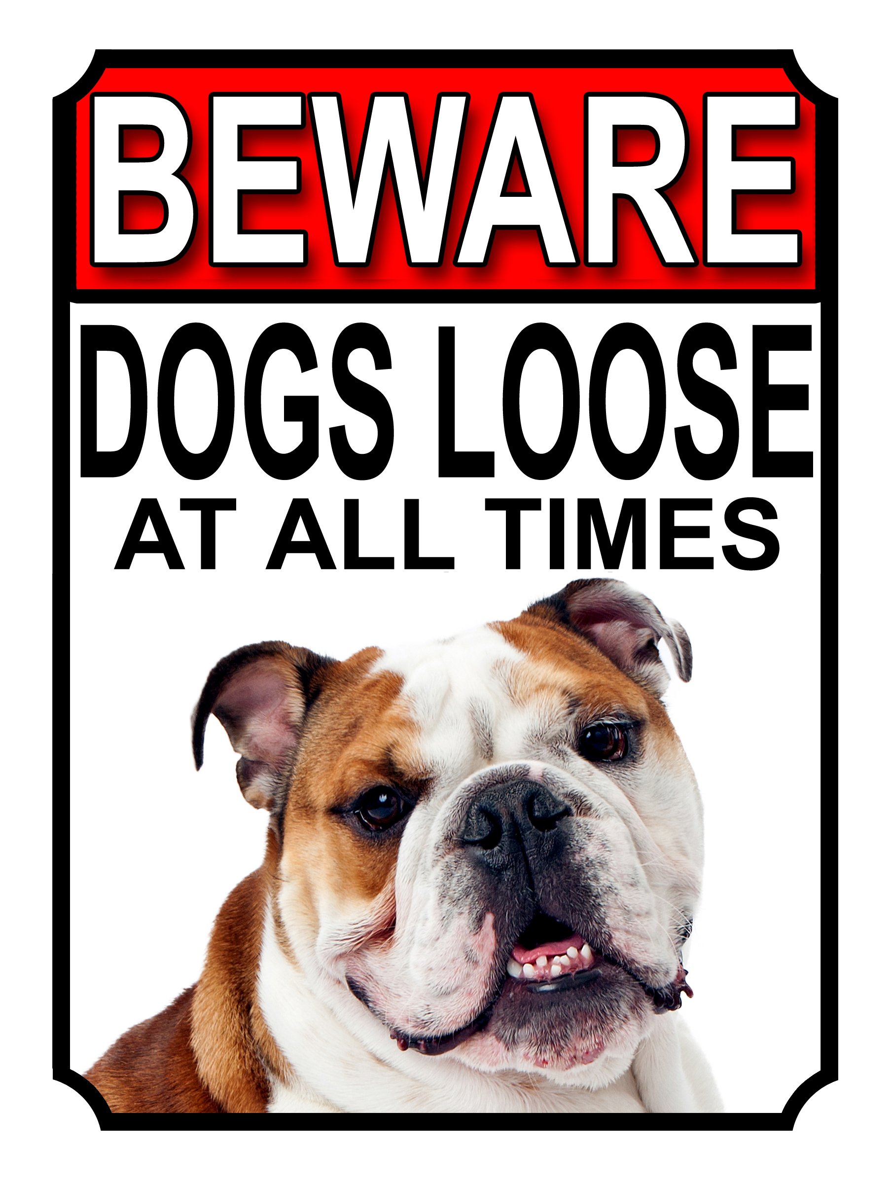 SHAWPRINT BEWARE DOGS LOOSE AT ALL TIMES METAL SIGN BULLDOG 200MM X 150MM (986H1)