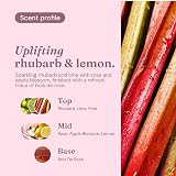 Miniml White Vinegar Cleaning Refill Wild Rhubarb 5L Multi Purpose view 4