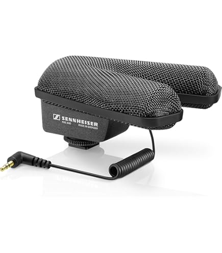 Amazon.com: Sennheiser Professional MKE 440 Compact Stereo Shotgun 