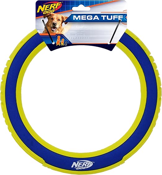 nerf frisbee