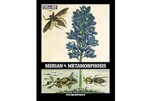 Merian - Metamorphosis