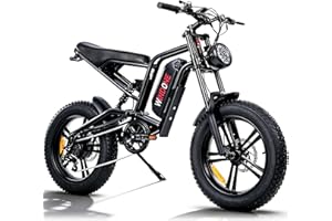 Windone E2 Electric Bike for Adults - 1000W Peak 20" Fat Tire Electric Dirt Ebike, Up to 32KM/H, 75KM Range, 48V 13Ah Removab
