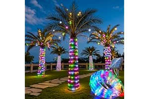 HONCHE Solar Rope Light 33FT 100L IP65 Weatherproof Outdoor LED Copper Fairy String Tube Lights for Party Garden Porch Yard Home Wedding Vacation Daily Holiday Decoration Lighting(Multi Color)