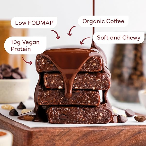 GOMACRO MACROBAR ORGANIC VEGAN PROTEIN BARS – MOCHA CHOCOLATE CHIP (2.3 OUNCE BARS, 12 COUNT)