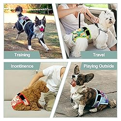 Grecle Washable Female Dog Diapers - Premium
