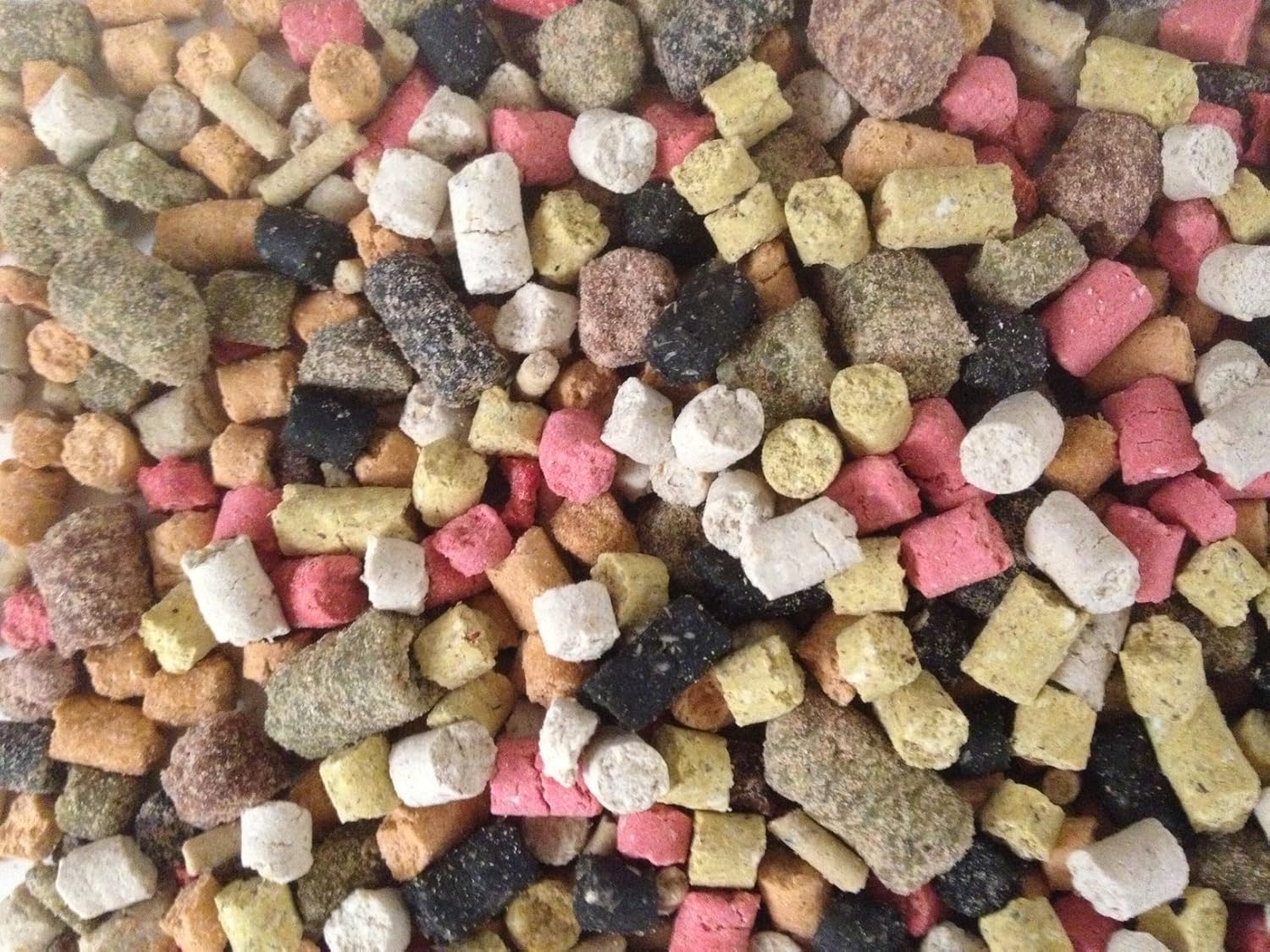 Mixed carp pellets Clearance