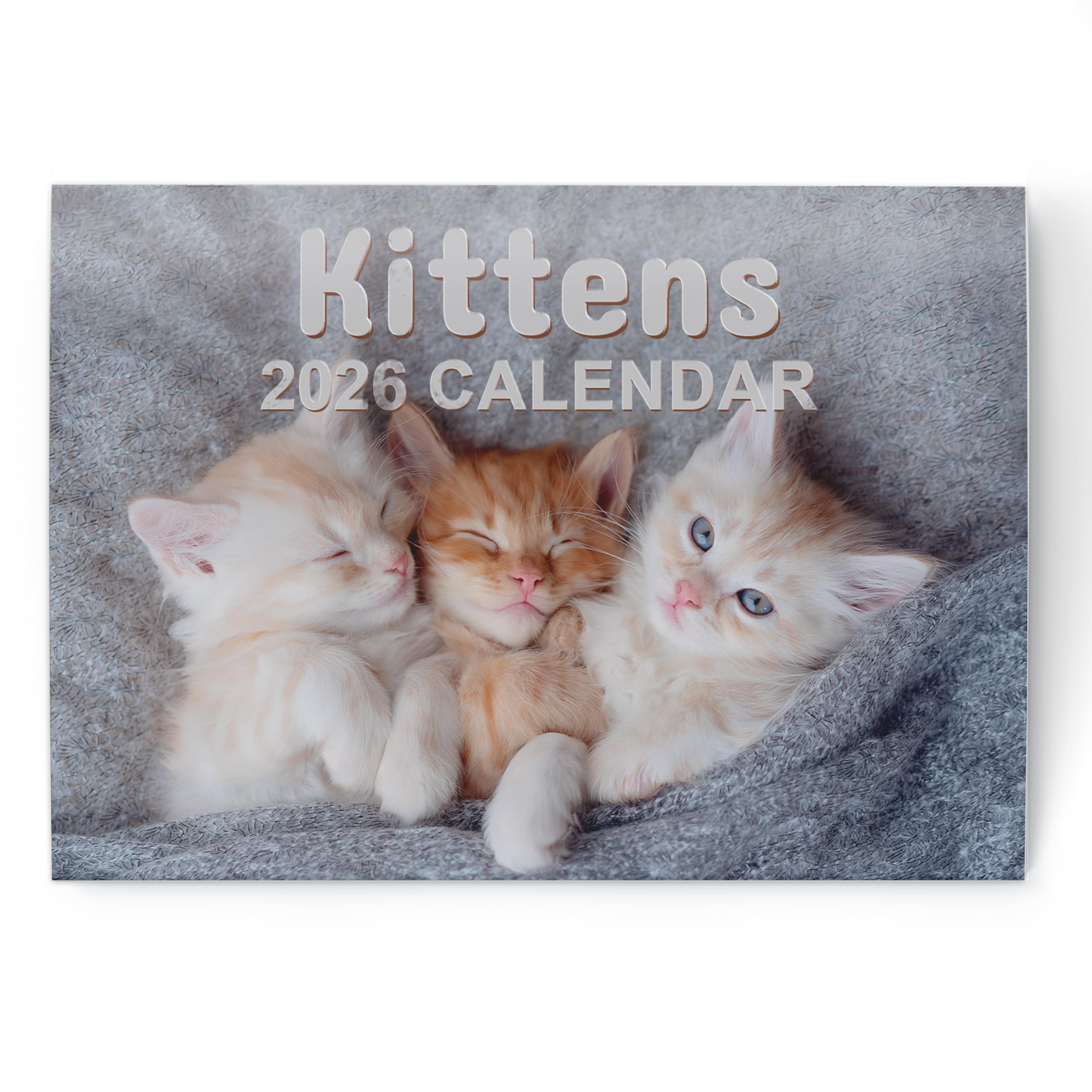 Calendar 2026 Kittens - Cute & Adorable Kitten Photos - Month to View UK Wall Planner, A3 When Open - 170gsm Silk Paper - Perfect Cat Lover Gift