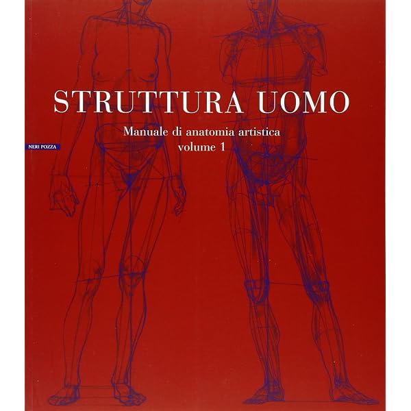 Amazon.com: Struttura uomo in movimento. Manuale di anatomia