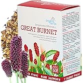 GREAT BURENT TEA, (SANGUISORBA OFFICINALIS L.) - 100% Pure & Natural, Wild-Crafted, Loose Leaf Herbal Tea - 50g (1.76oz) - Original Herbs Herbal Tea