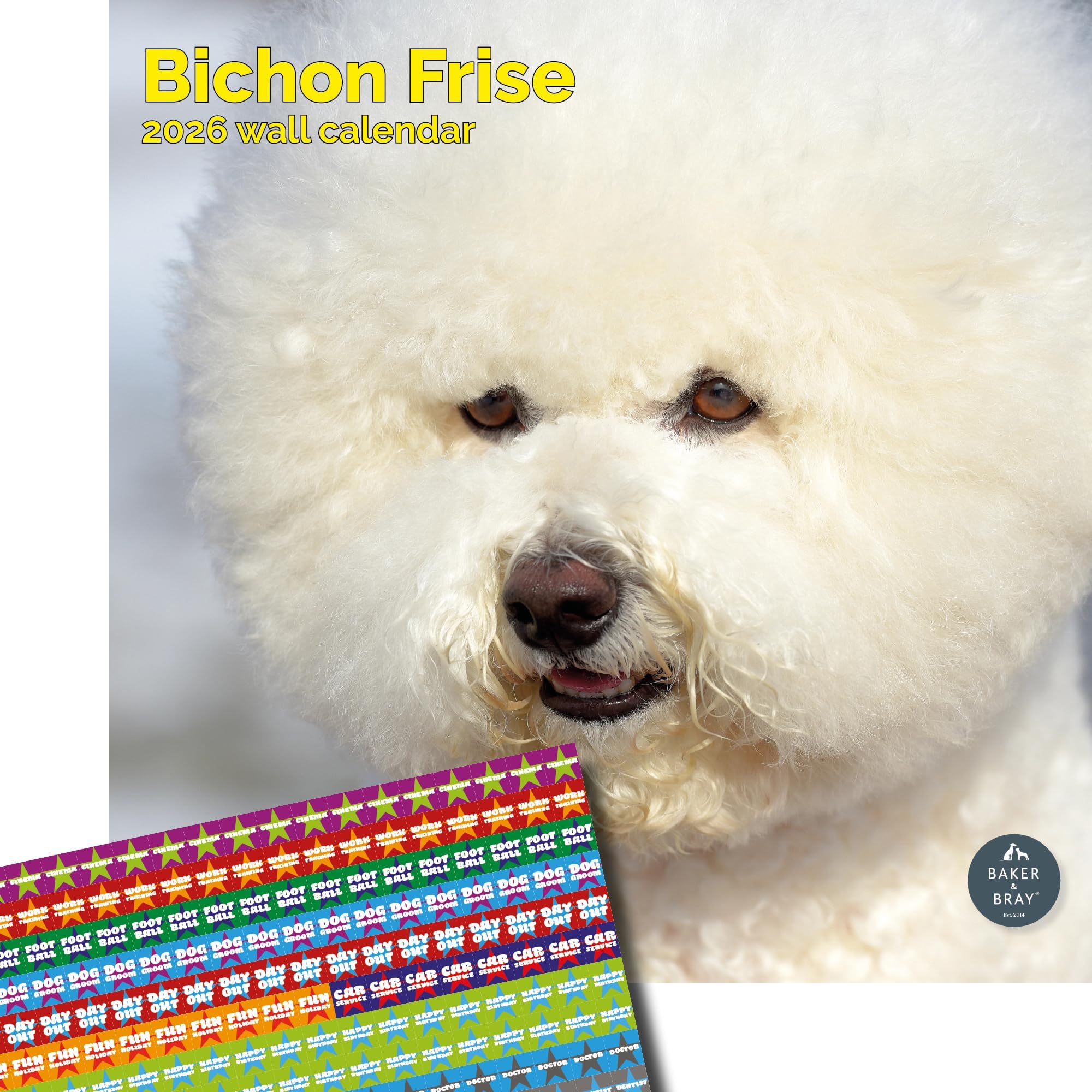 Baker and Bray Bichon Frise Calendar 2026, Large Square Wall Calendar With Organisational Stickers, 16 Month, Bichon Frise Gift Dog Calendar