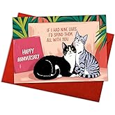 Podagree Romantic Cat Anniversary Card, Cute Anniversary Card for Cat Lover, Happy Anniversary Card, If I Had Nine Lives I'd Spend Them All with You Card for Couples, Husband, Wife, Boyfriend, Girlfriend