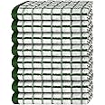White Classic Premium Dish Towels for Kitchen, with Hanging Loop [8 Pack] Heavy Duty Absorbent 100% Cotton 410 GSM Terry Kitchen Towels, 16x26 (Green)