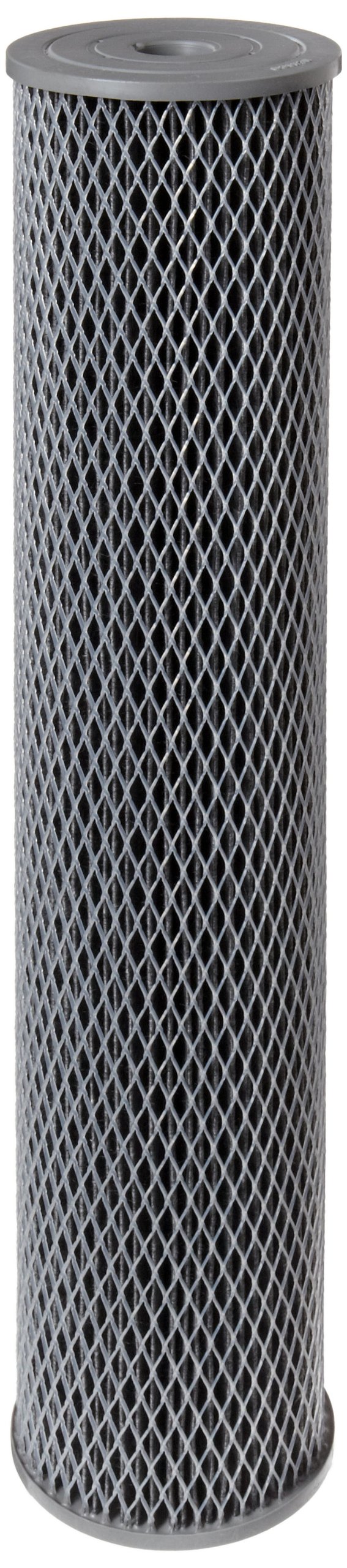 Pentair Pentek NCP20BB Big Blue Carbon Water Filter, 20Inch, Whole