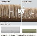 Sour Lemon Large 160x230 cm Shaggy Rug Soft Non Slip Living Room Carpet view 6