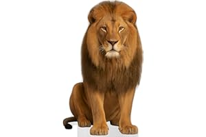 AMAZING ITEMS Lion Life Size Standee - 3FT Freestanding Coroplast Cutout | Safari Animal Standup Photo Booths, Jungle Party, Birthday & Halloween Decorations