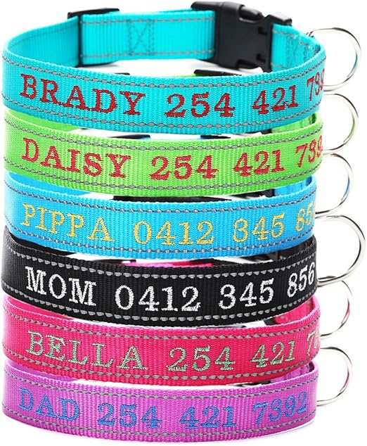 embroidered dog collars amazon