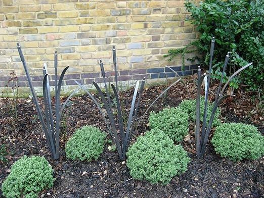 Un conjunto de 3 junco Cattail jardín planta apoyo Bare Metal ...