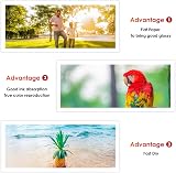 KOALA Inkjet Photo Paper 6x4 10x15cm Glossy 200GSM 50 Sheets Canon Hp Epson view 5