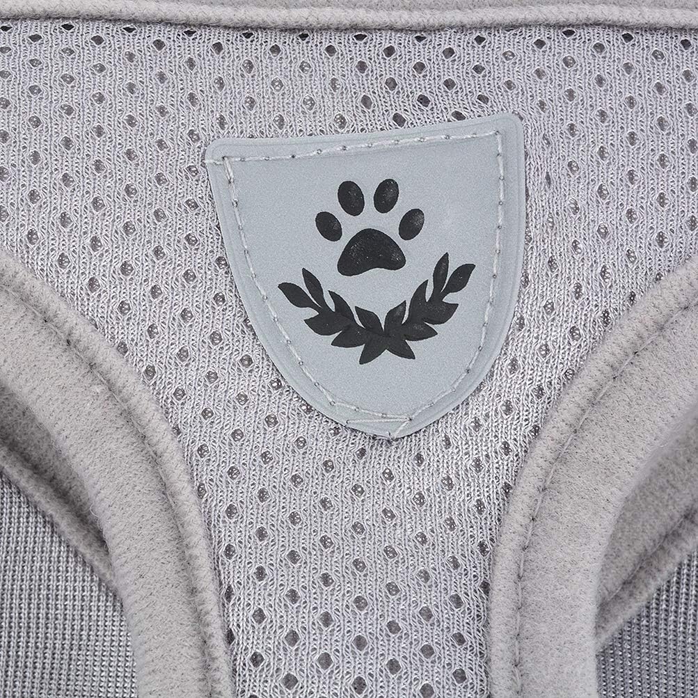 Zunea No Pull Dog Harness for Small Dog Cat Reflective Breathable Soft Mesh Padded Step-in Vest Harnesses Leash Set - Image 5